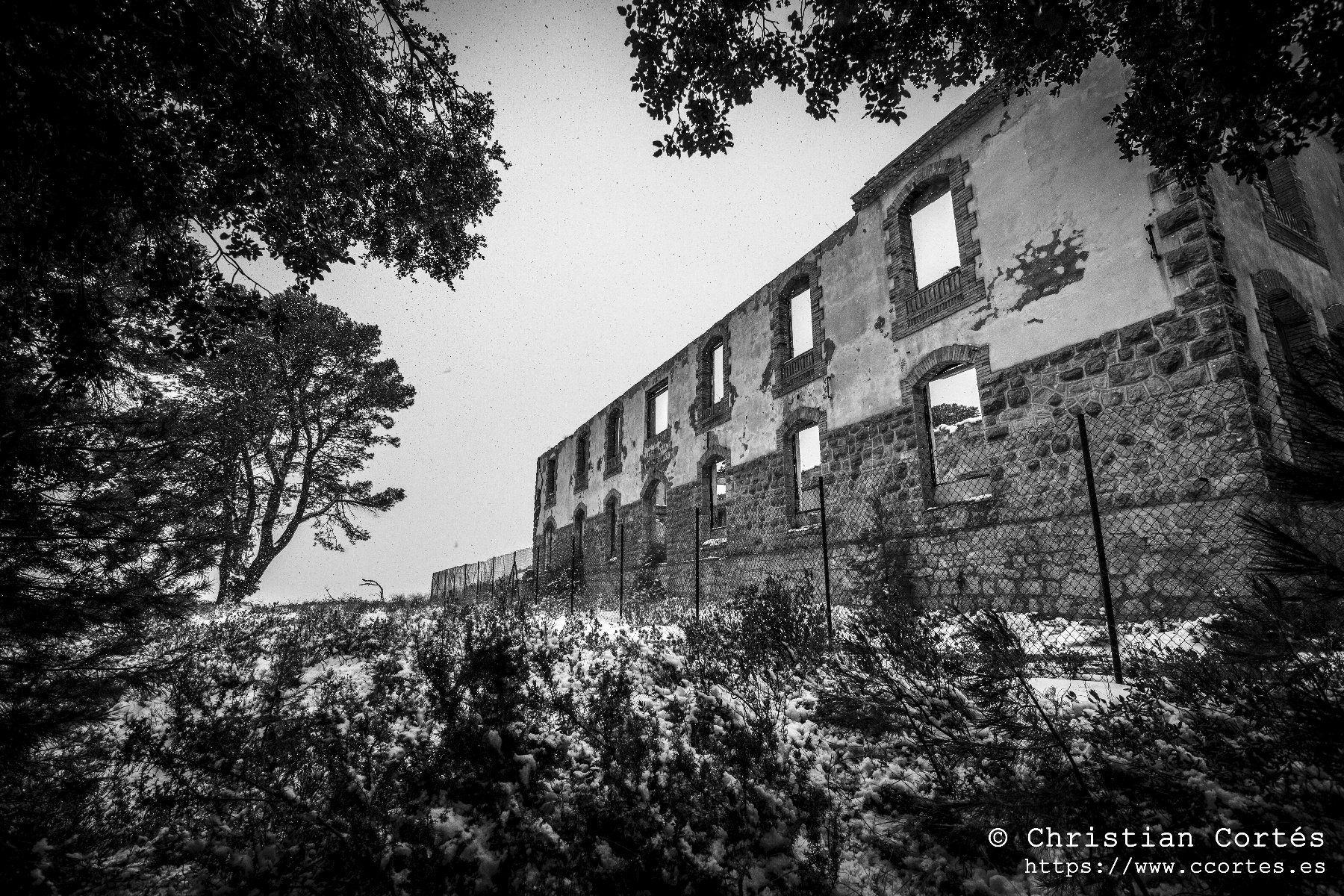 Nieve en Alicante 10